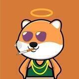 TEDDY SHIBA INU