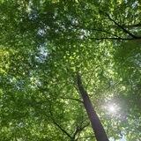Aktionen,Visionen für Fulda und Kassel