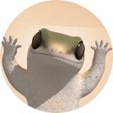 🦎 Dancing Lizard Portal 🦎