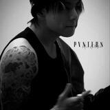 PVNTERN