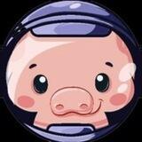 PIG 2.0 🐷 CertiK AUDIT
