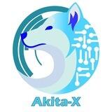 AKITA-X - OFFICIAL | PCS LAUNCH 3 PM UTC - BSC