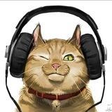 Я люблю музыку!
