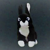 Hase du bleibst hier !! Diskurs