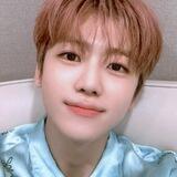 Jaem, the cutest bunny you ever seen.