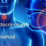 Endocrinology and nutrition