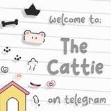 { The Catt-ie } : openg + hirmin
