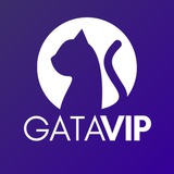 GATA VIP [OFICIAL]