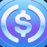 New Community USDC