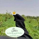 مكتبة الندى الإسلامية🌻💚