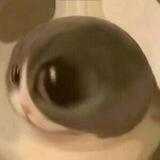 SK一体脚本官方频道