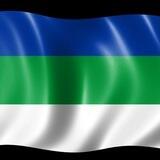 Комитет Башкирского национального движения за рубежом