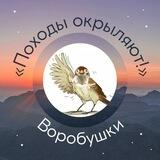 Воробушки походы