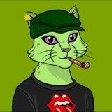 $DEFI CAT TOKEN