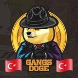 GangsDoge | Turkey 🇹🇷