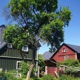 Jörgs Drechselwerkstatt