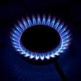 HAVFSIZ GAZ NURAFSHON ch норасмий группа