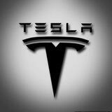 Tesla - 0 Tax & Burn