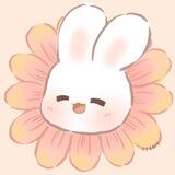 Usagi