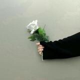 تَمويل🌱.