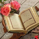 كلامكم نور 🍃