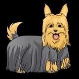 🐕 Silky inu Ru 🐕