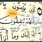 قناة الدروس القرآنية فقط بإشراف خادم الثقلين كرار الشمري
