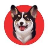 LUNDEHUND INU | PORTAL