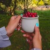 شعر در 🍒باغِ آلبالو🍒