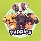 I love puppies $puppies