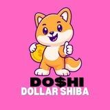 DOLLAR SHIBA Liquidity Burn