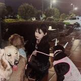 阮咩咩🐑拼多多退款不退货