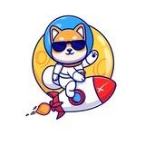 🐶 DOGE X - TAX 0-4 - FAIRLAUNCH ON PINKSALE