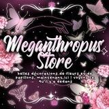 Promo Meganthropus Store