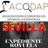 SEVILLA con ACODAP y el ER