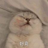 人口普查
