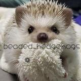 🍂beaded_hedgehogs🍁