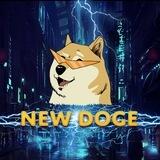 New Doge (portal)