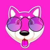 Pink Floki CEO