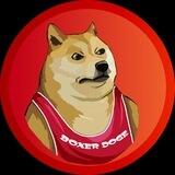 Boxer Doge 🐶🥊 Channel