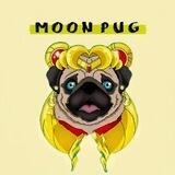 Moon Pug Inu ERC20