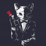 Котоmafia