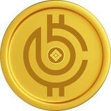 Bitcoin BSC | Portal