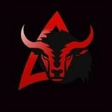 AIDFINANCE