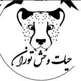 حیات وحش توران