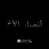 أنصار الأخ