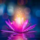 ✨️Goldener Lotus✨️
