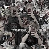 🐇valkyrskie !!