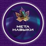 Метанавыки: развитие суперсил