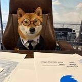 SHIBA Inu CEO 5/5 3% SHIB reflections